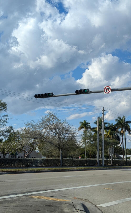 Street Lights, Day, Tropical Trees, Road, Trees