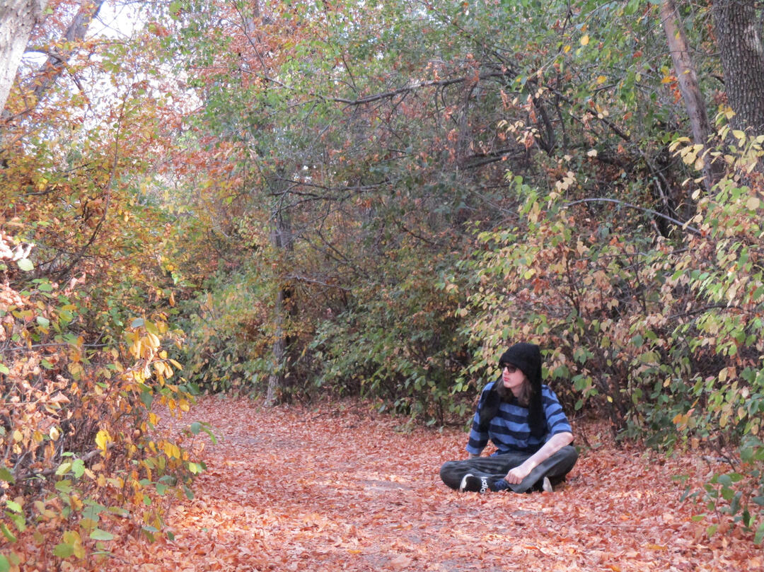 Press Photo, Aidan Cranford, Fall, Autumn Leaves