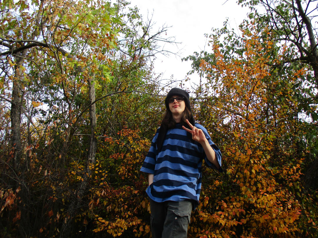 Press Photo, Aidan Cranford, Fall, Trees, Skyline